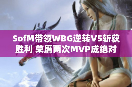 SofM带领WBG逆转V5斩获胜利 荣膺两次MVP成绝对主角