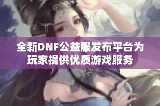 全新DNF公益服发布平台为玩家提供优质游戏服务