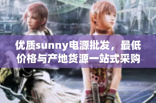 优质sunny电源批发，最低价格与产地货源一站式采购平台