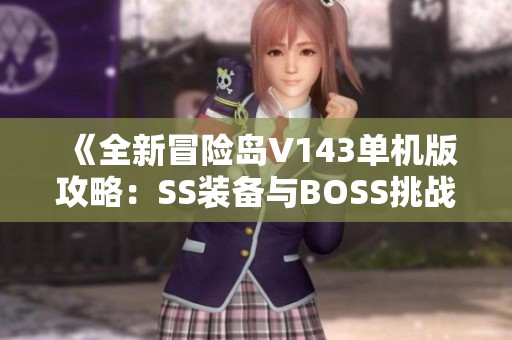 《全新冒险岛V143单机版攻略：SS装备与BOSS挑战指南》