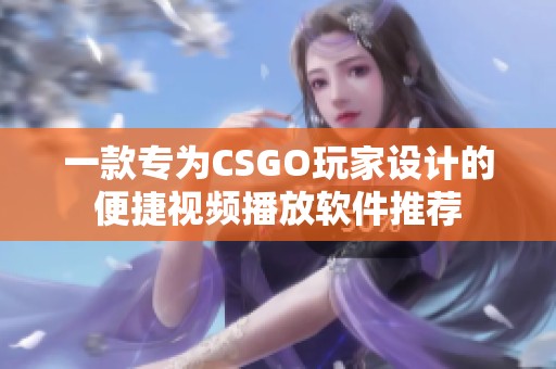 一款专为CSGO玩家设计的便捷视频播放软件推荐