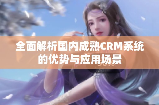 全面解析国内成熟CRM系统的优势与应用场景