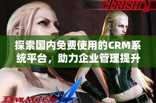 探索国内免费使用的CRM系统平台，助力企业管理提升