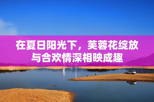 在夏日阳光下，芙蓉花绽放与合欢情深相映成趣