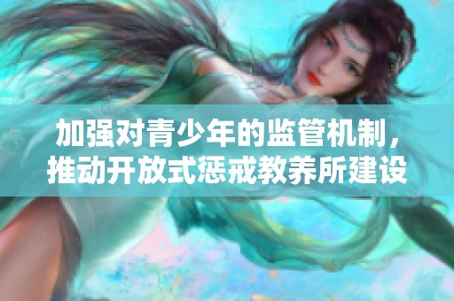 加强对青少年的监管机制，推动开放式惩戒教养所建设