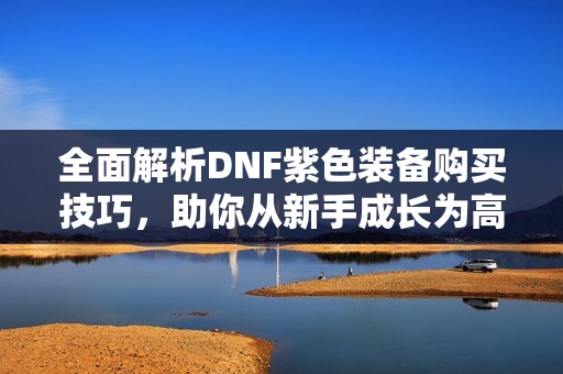 全面解析DNF紫色装备购买技巧，助你从新手成长为高手