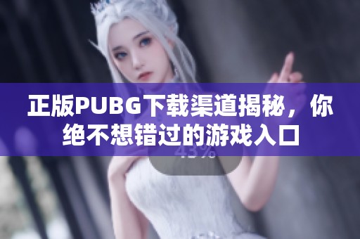 正版PUBG下载渠道揭秘，你绝不想错过的游戏入口