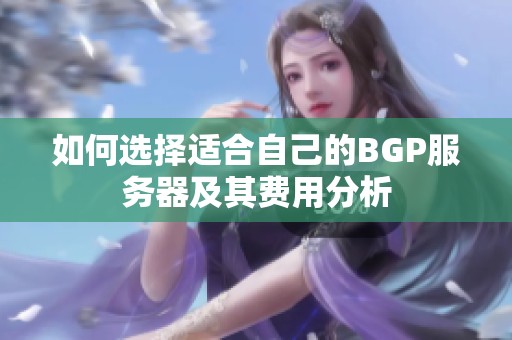 如何选择适合自己的BGP服务器及其费用分析