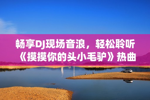 畅享DJ现场音浪，轻松聆听《摸摸你的头小毛驴》热曲