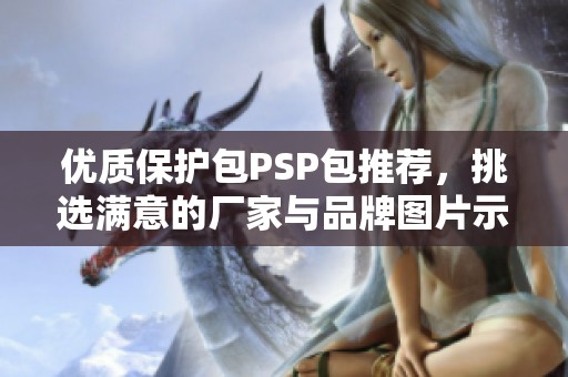 优质保护包PSP包推荐，挑选满意的厂家与品牌图片示例