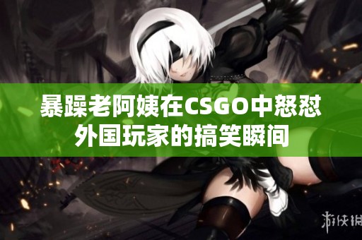 暴躁老阿姨在CSGO中怒怼外国玩家的搞笑瞬间