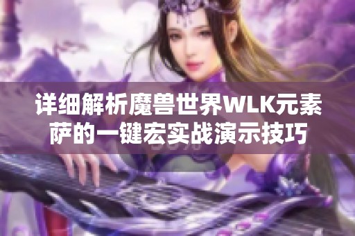 详细解析魔兽世界WLK元素萨的一键宏实战演示技巧