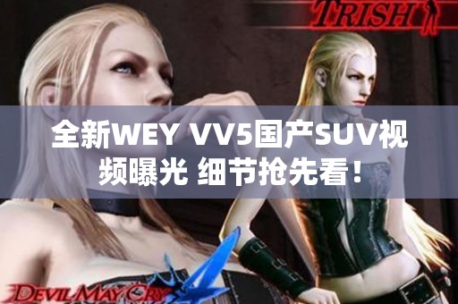 全新WEY VV5国产SUV视频曝光 细节抢先看！