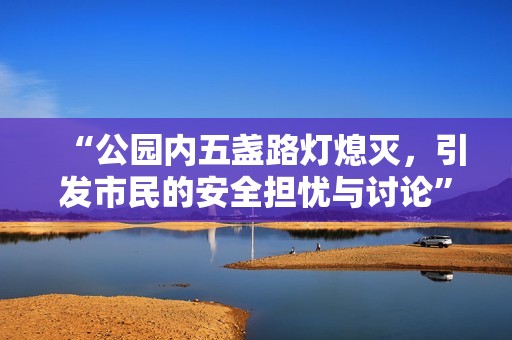 “公园内五盏路灯熄灭，引发市民的安全担忧与讨论”