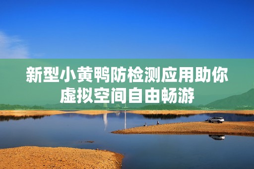 新型小黄鸭防检测应用助你虚拟空间自由畅游