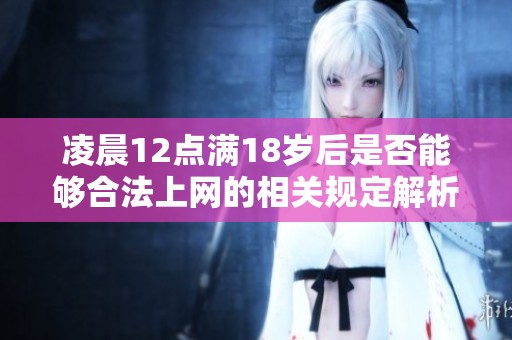 凌晨12点满18岁后是否能够合法上网的相关规定解析