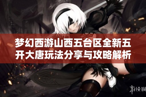 梦幻西游山西五台区全新五开大唐玩法分享与攻略解析