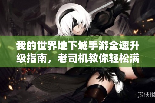 我的世界地下城手游全速升级指南，老司机教你轻松满级技巧