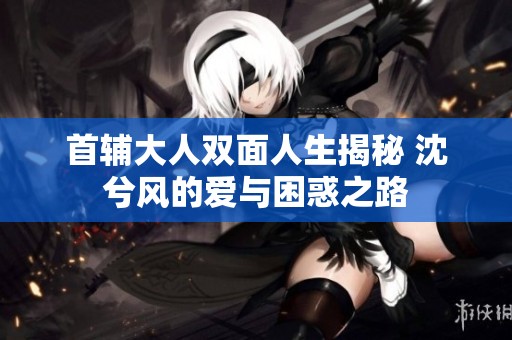首辅大人双面人生揭秘 沈兮风的爱与困惑之路