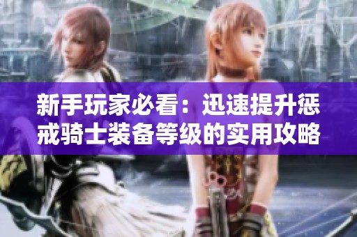 新手玩家必看：迅速提升惩戒骑士装备等级的实用攻略