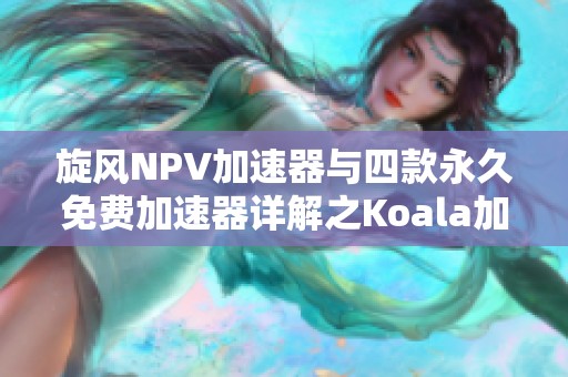 旋风NPV加速器与四款永久免费加速器详解之Koala加速器介绍