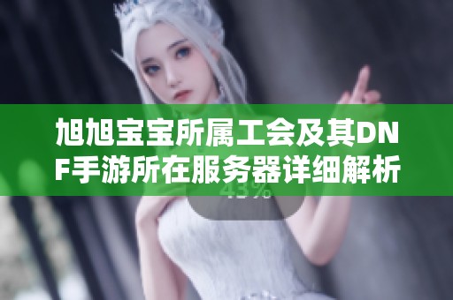 旭旭宝宝所属工会及其DNF手游所在服务器详细解析