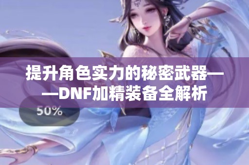 提升角色实力的秘密武器——DNF加精装备全解析