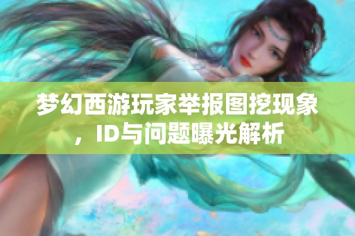 梦幻西游玩家举报图挖现象，ID与问题曝光解析