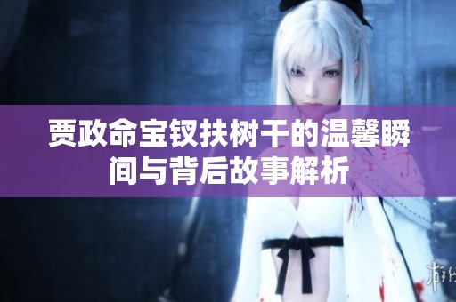 贾政命宝钗扶树干的温馨瞬间与背后故事解析