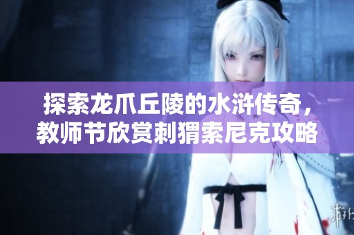 探索龙爪丘陵的水浒传奇，教师节欣赏刺猬索尼克攻略分享