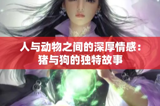 人与动物之间的深厚情感：猪与狗的独特故事