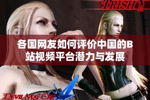 各国网友如何评价中国的B站视频平台潜力与发展