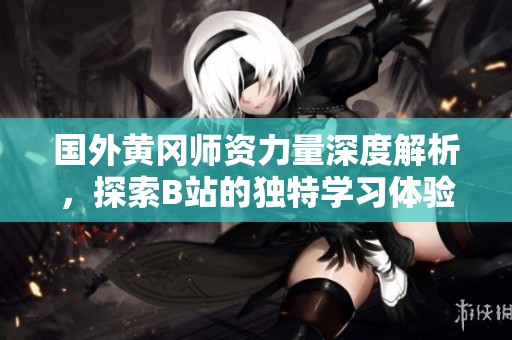国外黄冈师资力量深度解析，探索B站的独特学习体验
