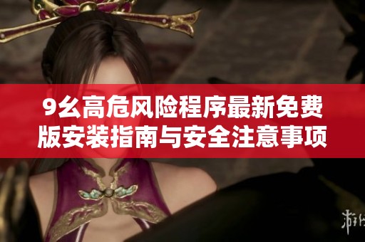 9幺高危风险程序最新免费版安装指南与安全注意事项