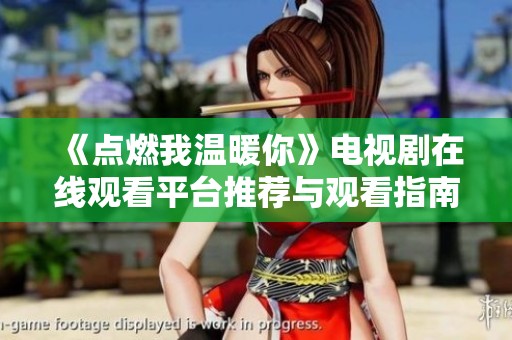 《点燃我温暖你》电视剧在线观看平台推荐与观看指南
