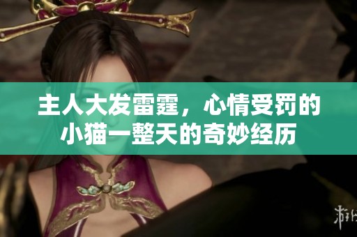 主人大发雷霆，心情受罚的小猫一整天的奇妙经历