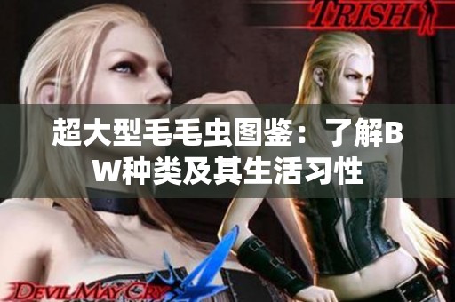 超大型毛毛虫图鉴：了解BW种类及其生活习性