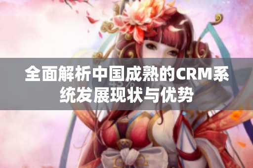 全面解析中国成熟的CRM系统发展现状与优势