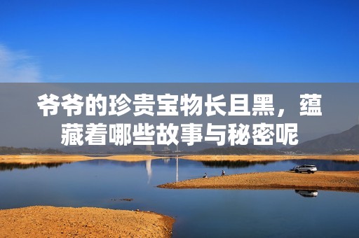 爷爷的珍贵宝物长且黑，蕴藏着哪些故事与秘密呢
