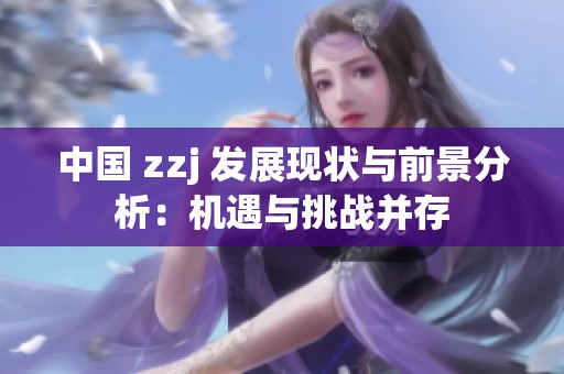 中国 zzj 发展现状与前景分析：机遇与挑战并存