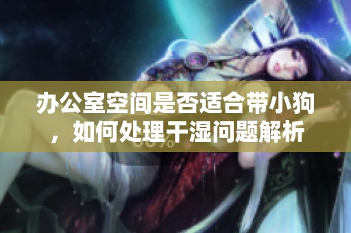 办公室空间是否适合带小狗，如何处理干湿问题解析