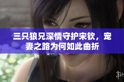 三只狼兄深情守护宋钦，宠妻之路为何如此曲折