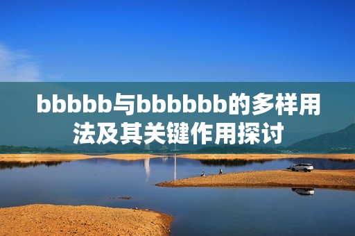 bbbbb与bbbbbb的多样用法及其关键作用探讨