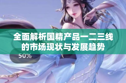 全面解析国精产品一二三线的市场现状与发展趋势