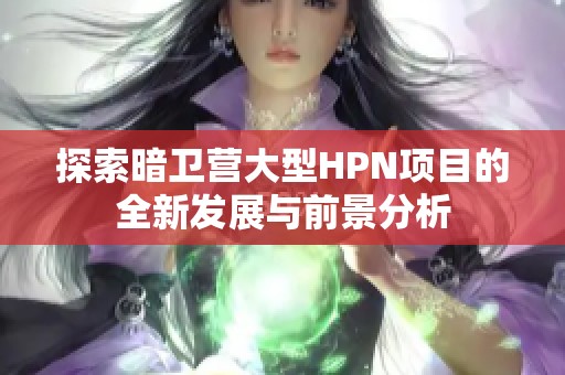 探索暗卫营大型HPN项目的全新发展与前景分析