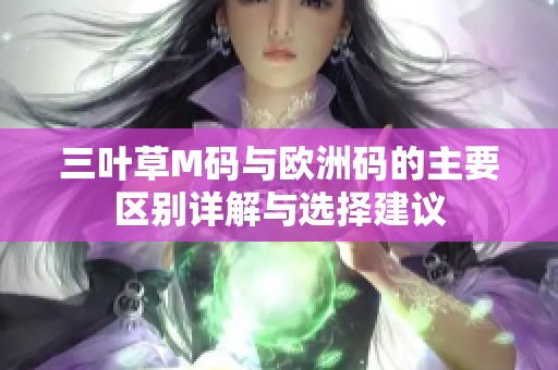 三叶草M码与欧洲码的主要区别详解与选择建议