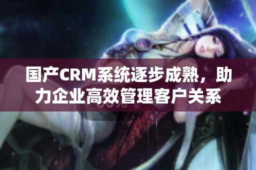 国产CRM系统逐步成熟，助力企业高效管理客户关系