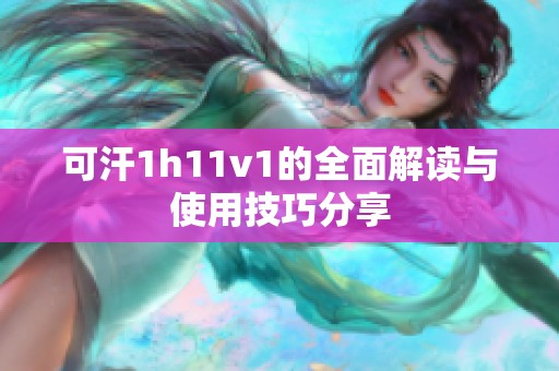 可汗1h11v1的全面解读与使用技巧分享