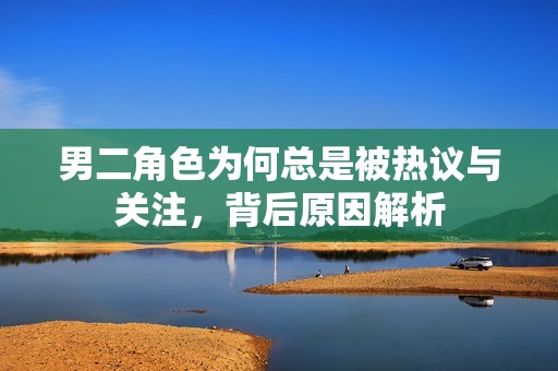 男二角色为何总是被热议与关注，背后原因解析