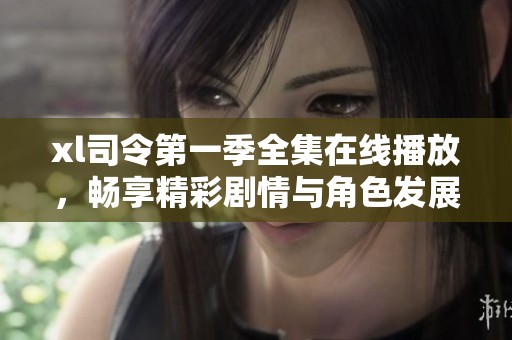 xl司令第一季全集在线播放，畅享精彩剧情与角色发展